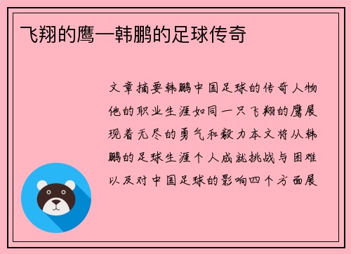 飞翔的鹰—韩鹏的足球传奇